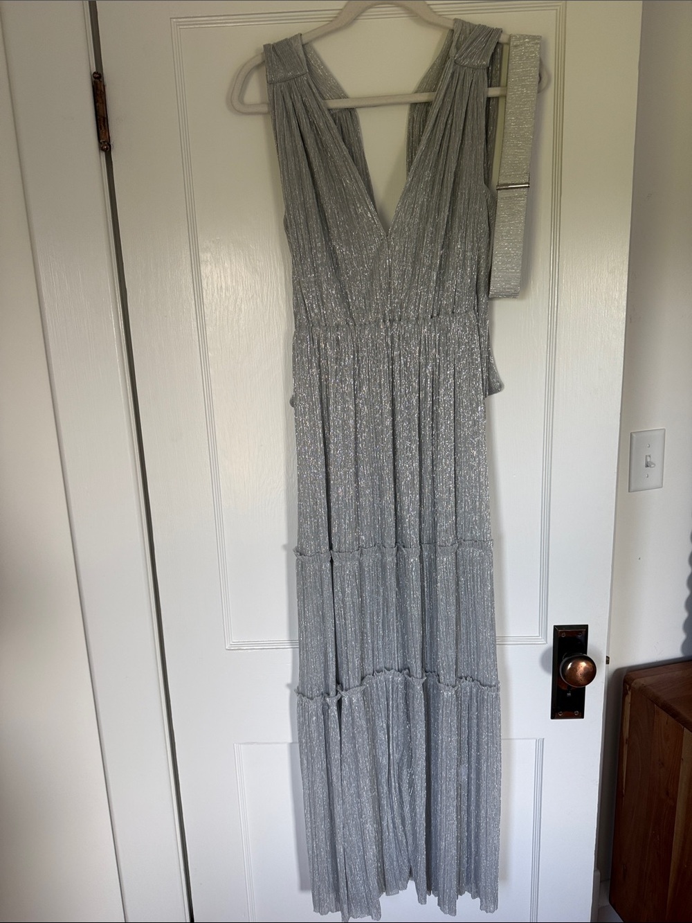 Sabina Musayev Silver Metallic Maxi Dress